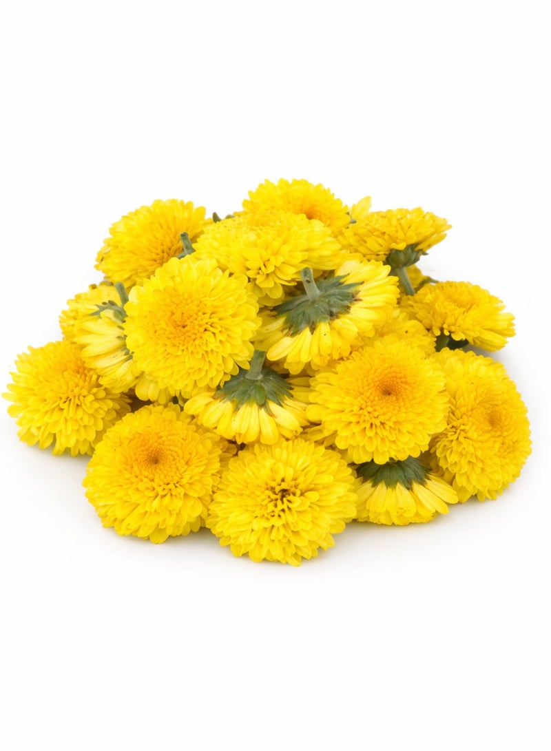 Fresh Yellow Chrysanthemum Flowers (Button Mum) – Handpicked Natural Loose Flowers for Pooja, Decoration & Events - Image 1